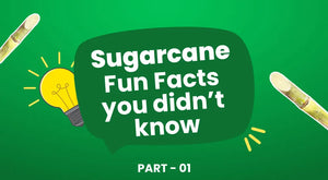 Sugarcane - fun facts you didn't know part 01
