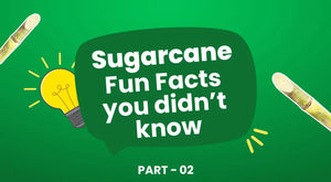 Sugarcane - fun facts you didn't know part 002